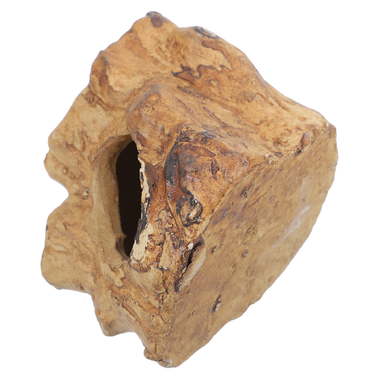 Hide Cave Ceramic - ถ้ำเซรามิกคุณภาพสูงสำหรับตกแต่งตู้ปลา ที่หลบซ่อนสำหรับกุ้งเพาะพันธุ์ ที่หลบซ่อนสำหรับปลาเบต้า อุปกรณ์ตกแต่งตู้เต่า ตู้จิ้งจก และงู