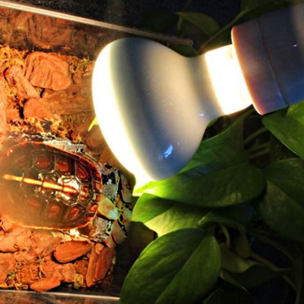 Basking Bulb Halogen - เครื่องควบคุมอุณหภูมิสำหรับสัตว์เลื้อยคลาน หลอดฮาโลเจน แสง UVA สำหรับสัตว์เลื้อยคลาน