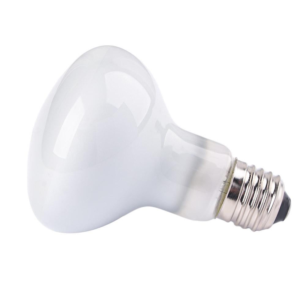 Basking Bulb Halogen - หลอดฮาโลเจนควบคุมอุณหภูมิสำหรับสัตว์เลื้อยคลาน แสงอุ่น แสง UVA