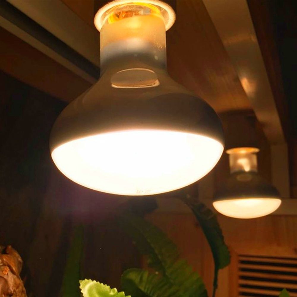 Basking Bulb Halogen - หลอดไฟควบคุมอุณหภูมิเต่า หลอดความร้อน หลอดฮาโลเจน แสงยูวีเอสำหรับสัตว์เลื้อยคลาน