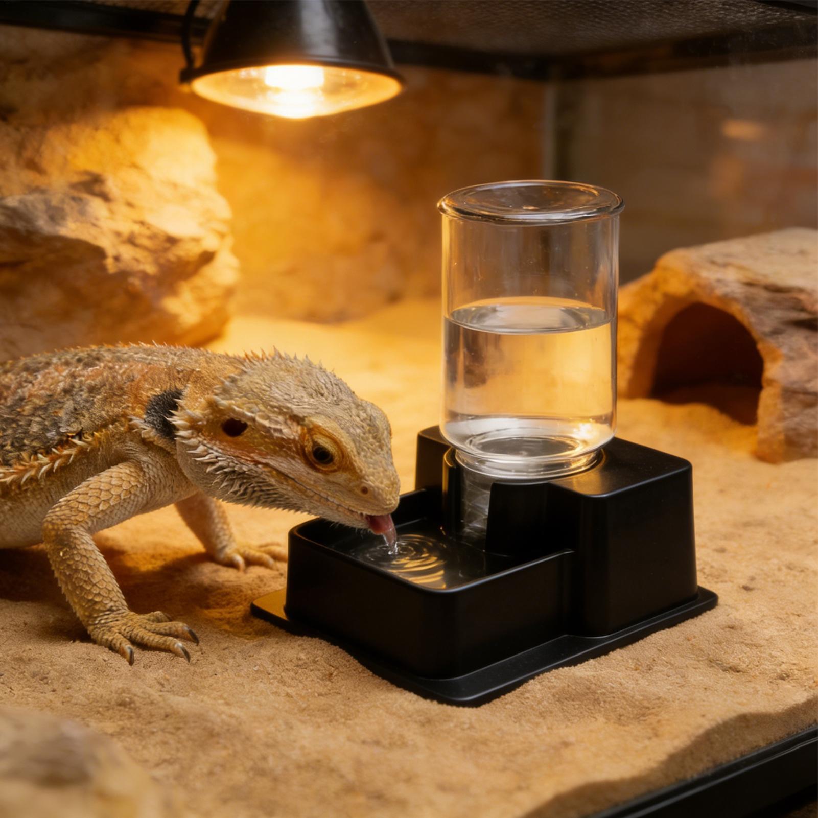 Water Dish Reptile - เครื่องให้น้ำอัตโนมัติสำหรับสัตว์เลื้อยคลาน เช่น ตุ๊กแก มังกรเครา เต่า จิ้งจก
