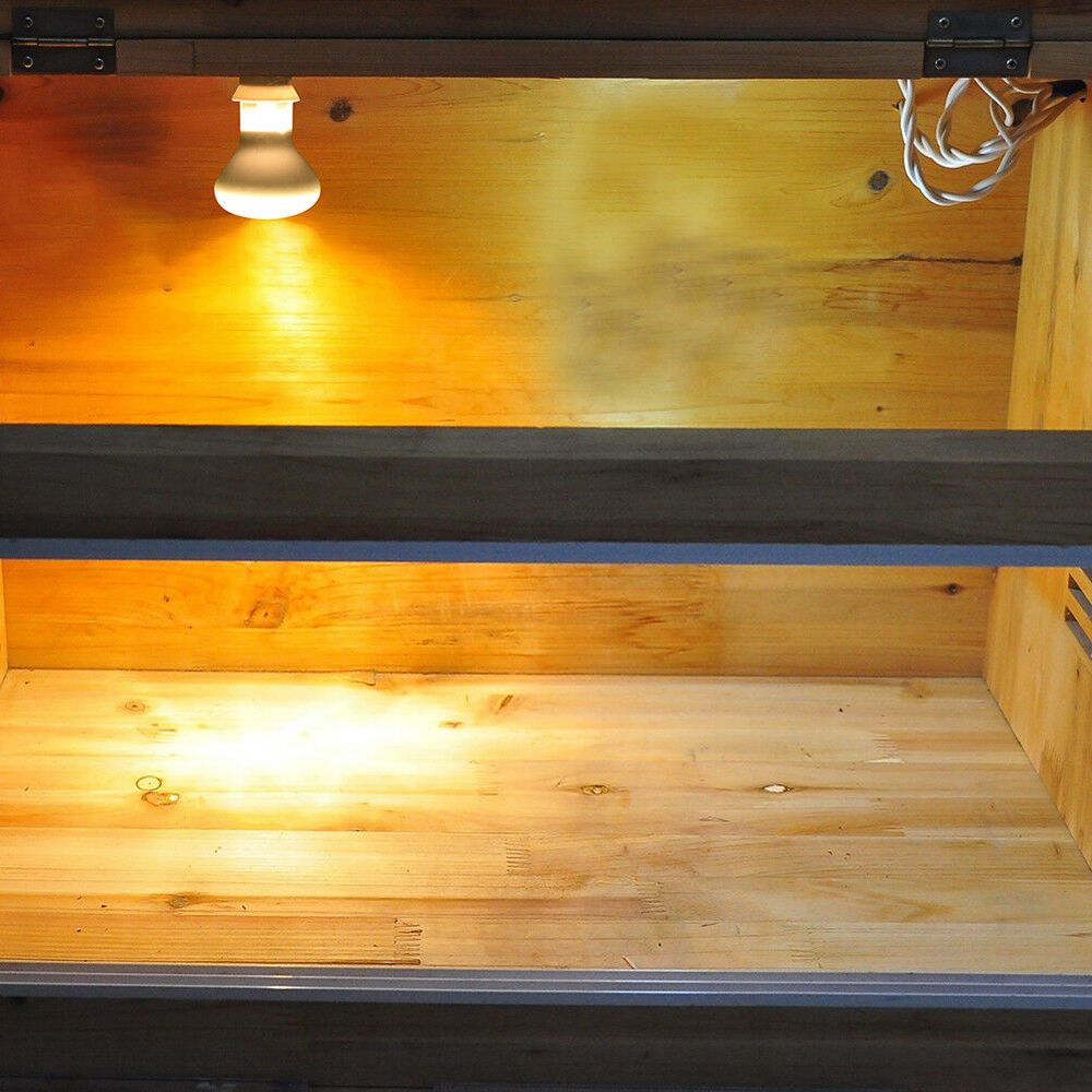 Basking Bulb Halogen - เครื่องควบคุมอุณหภูมิสำหรับสัตว์เลื้อยคลาน หลอดฮาโลเจน แสง UVA สำหรับให้ความอบอุ่น