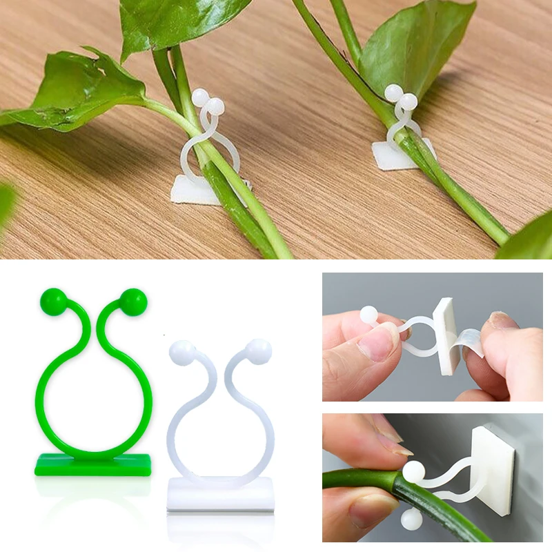 Vine Climbing Plastic - ตะขอเกี่ยวต้นไม้แบบติดผนัง ติดแน่นด้วยกาวในตัว สำหรับยึดต้นไม้เลื้อย ต้นไม้ปีนกำแพง คลิปหนีบต้นไม้เลื้อยในสวน