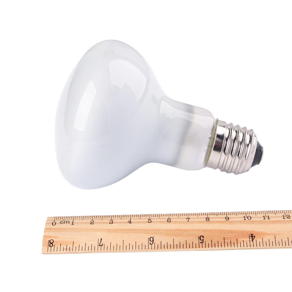 หลอดไฟฮีตเตอร์สำหรับสัตว์เลื้อ - Basking Bulb Halogen บทวิจารณ์และราคา