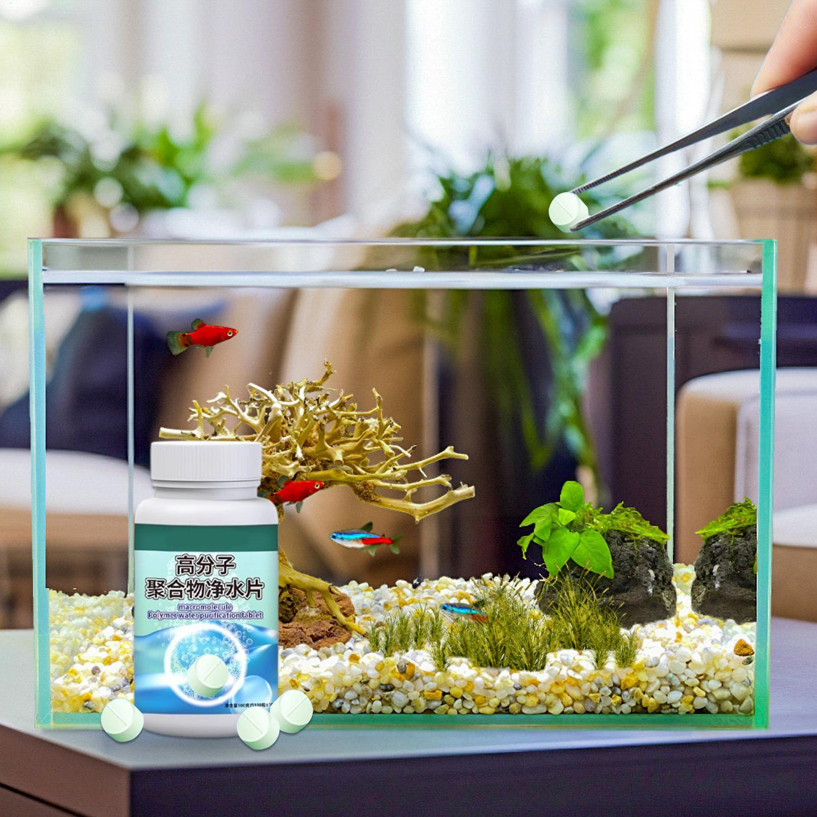 ยาเม็ดกำจัดตะไคร่น้ำในตู้ปลา ย - Water Dish Reptile บทวิจารณ์และราคา