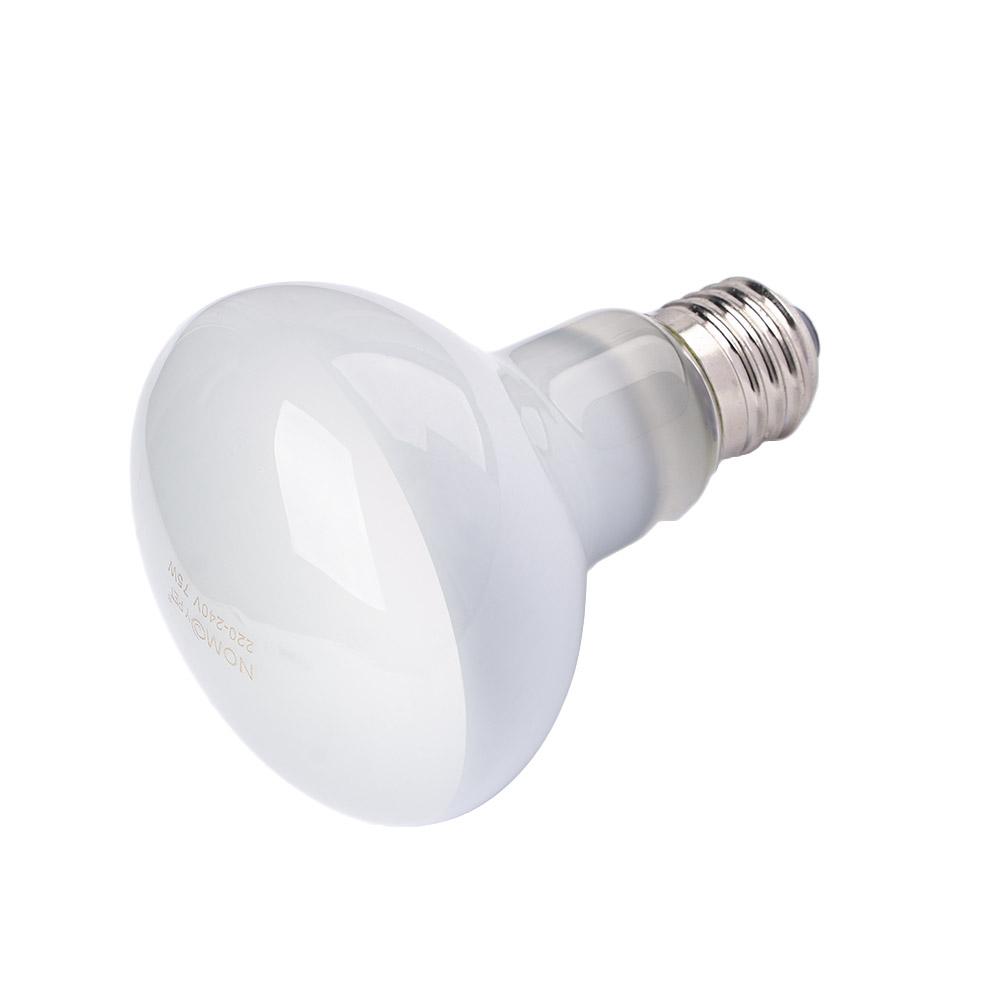 เครื่องควบคุมอุณหภูมิสำหรับสัต - Basking Bulb Halogen บทวิจารณ์และราคา