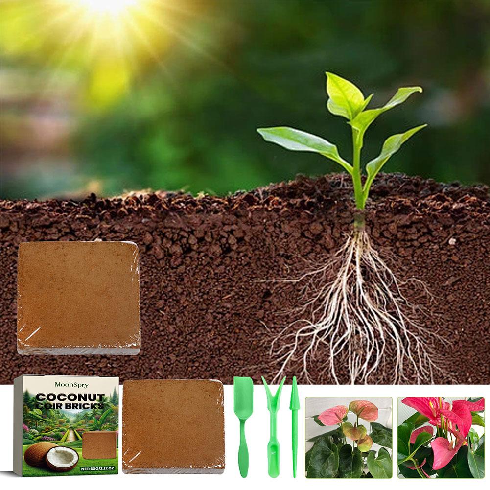 สัตว์เลื้อยคลานดินมะพร้าว Coir - Substrate Coconut Fiber บทวิจารณ์และราคา