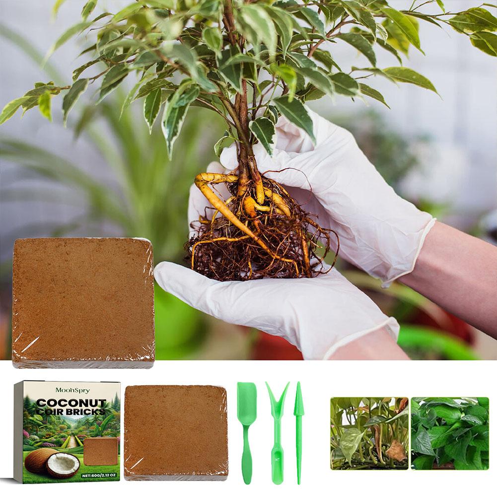 สัตว์เลื้อยคลานดินมะพร้าว Coir - Substrate Coconut Fiber บทวิจารณ์และราคา