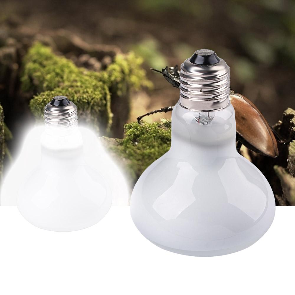 หลอดฮาโลเจนควบคุมอุณหภูมิสำหรั - Basking Bulb Halogen บทวิจารณ์และราคา