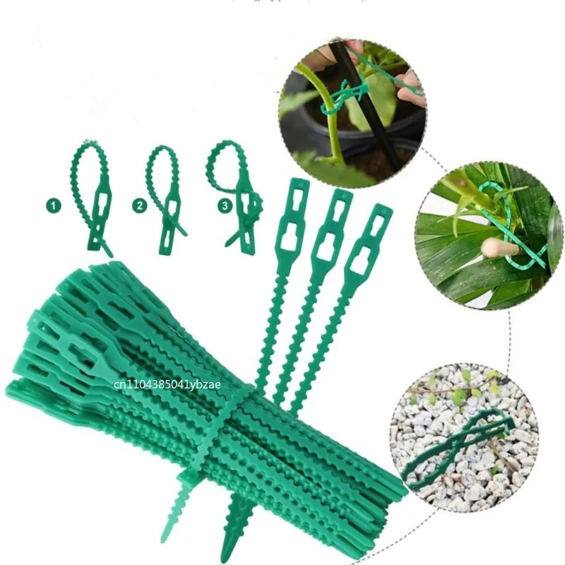 สายรัดพลาสติกปรับได้ 50-1000 ช - Vine Climbing Plastic บทวิจารณ์และราคา