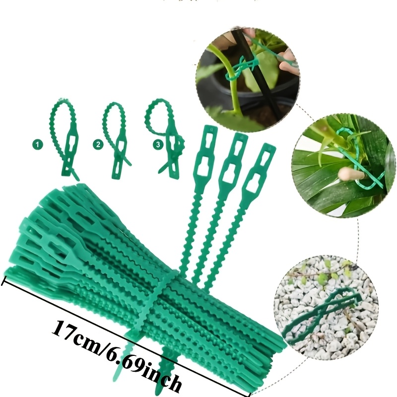 สายรัดต้นไม้แบบปรับได้ 100 ชิ้ - Vine Climbing Plastic บทวิจารณ์และราคา
