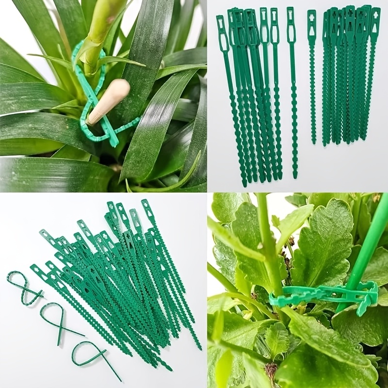 สายรัดต้นไม้แบบปรับได้ 100 ชิ้ - Vine Climbing Plastic บทวิจารณ์และราคา