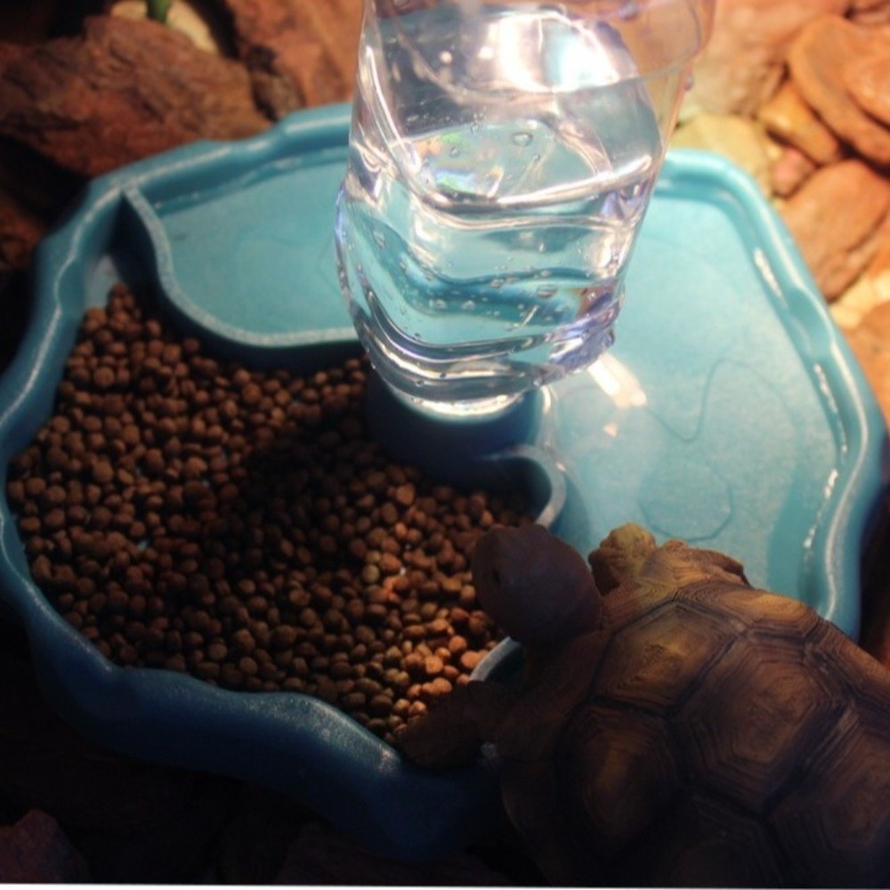 ที่ให้อาหารสัตว์เลื้อยคลานแบบถ - Water Dish Reptile บทวิจารณ์และราคา