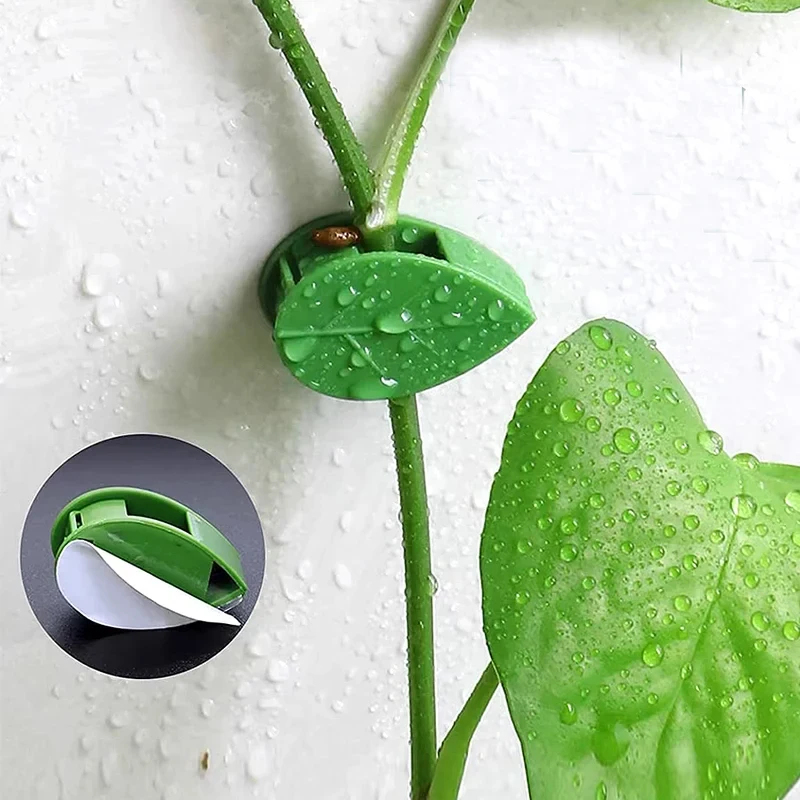 คลิปหนีบต้นไม้แบบติดเอง 10-90  - Vine Climbing Plastic บทวิจารณ์และราคา