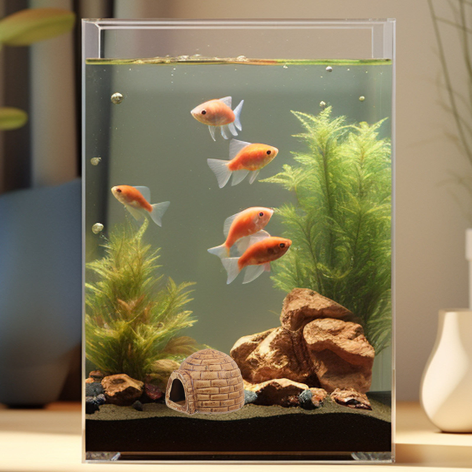 ที่หลบซ่อนเซรามิกเกรดพรีเมียมส - Hide Cave Ceramic บทวิจารณ์และราคา