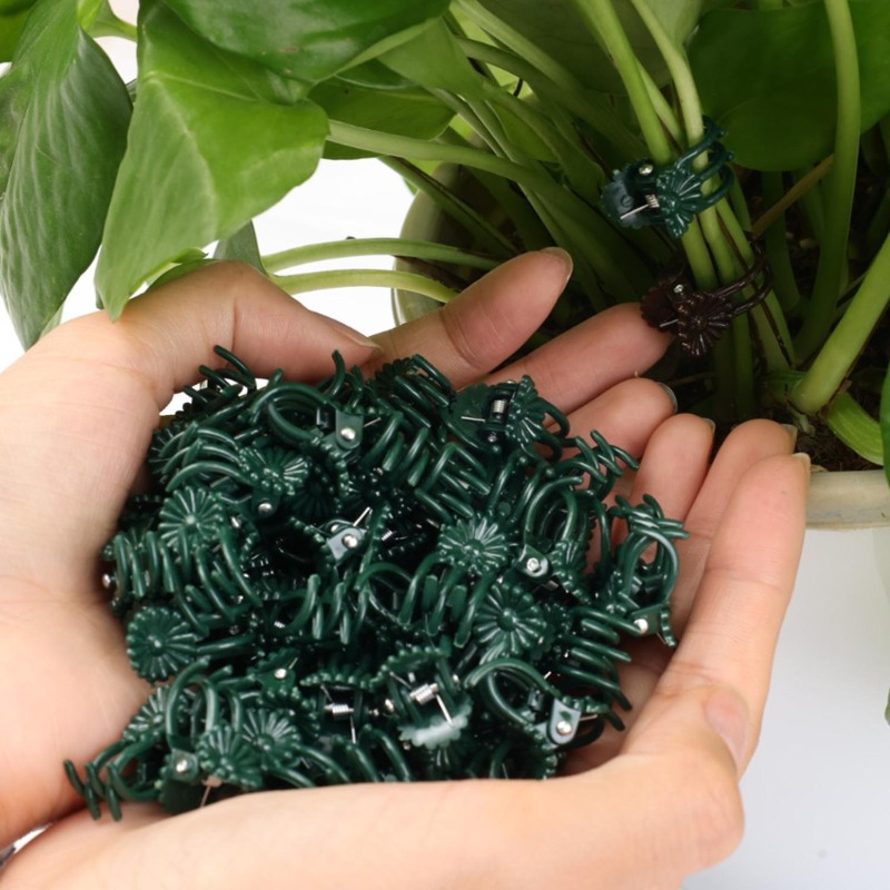 คลิปหนีบต้นไม้ขนาดเล็กสำหรับขา - Vine Climbing Plastic บทวิจารณ์และราคา