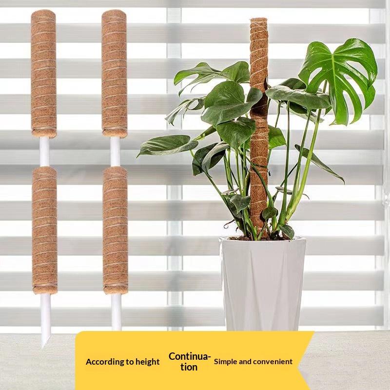 แท่งยึดต้นไม้สำหรับพืชเลื้อย 1 - Vine Climbing Plastic บทวิจารณ์และราคา