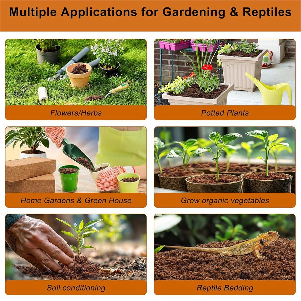 【คุณภาพคงที่】ชุด 3 ก้อน สำหรับ - Substrate Coconut Fiber บทวิจารณ์และราคา