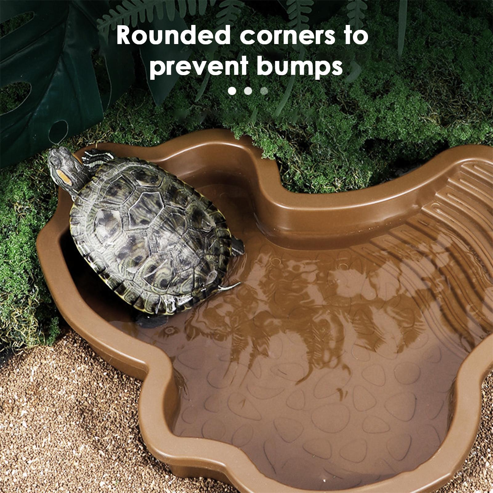 สระอาบน้ำสัตว์เลื้อยคลานพร้อมท - Water Dish Reptile บทวิจารณ์และราคา