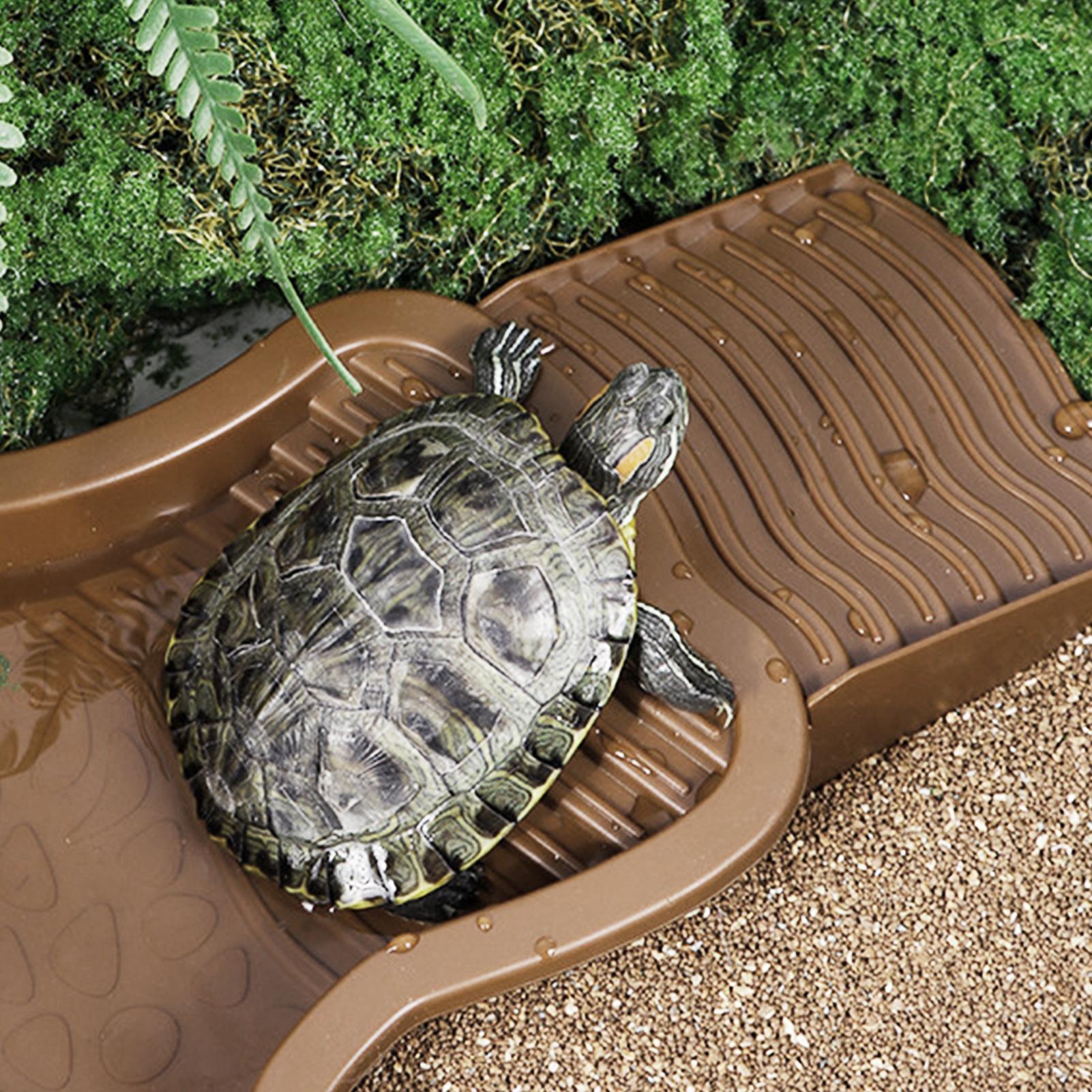 สระอาบน้ำสัตว์เลื้อยคลานพร้อมท - Water Dish Reptile บทวิจารณ์และราคา