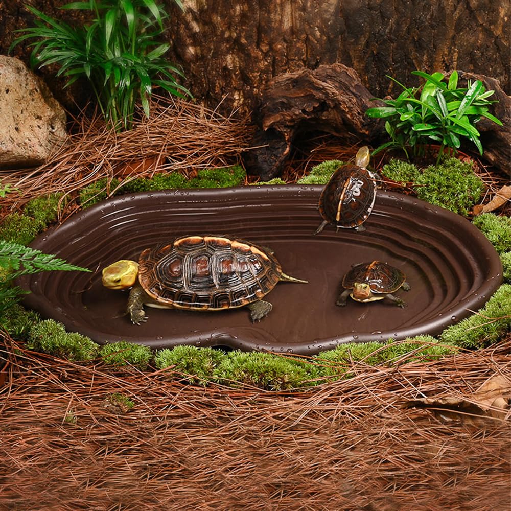 ถาดอาบน้ำสัตว์เลื้อยคลาน ภาชนะ - Water Dish Reptile บทวิจารณ์และราคา