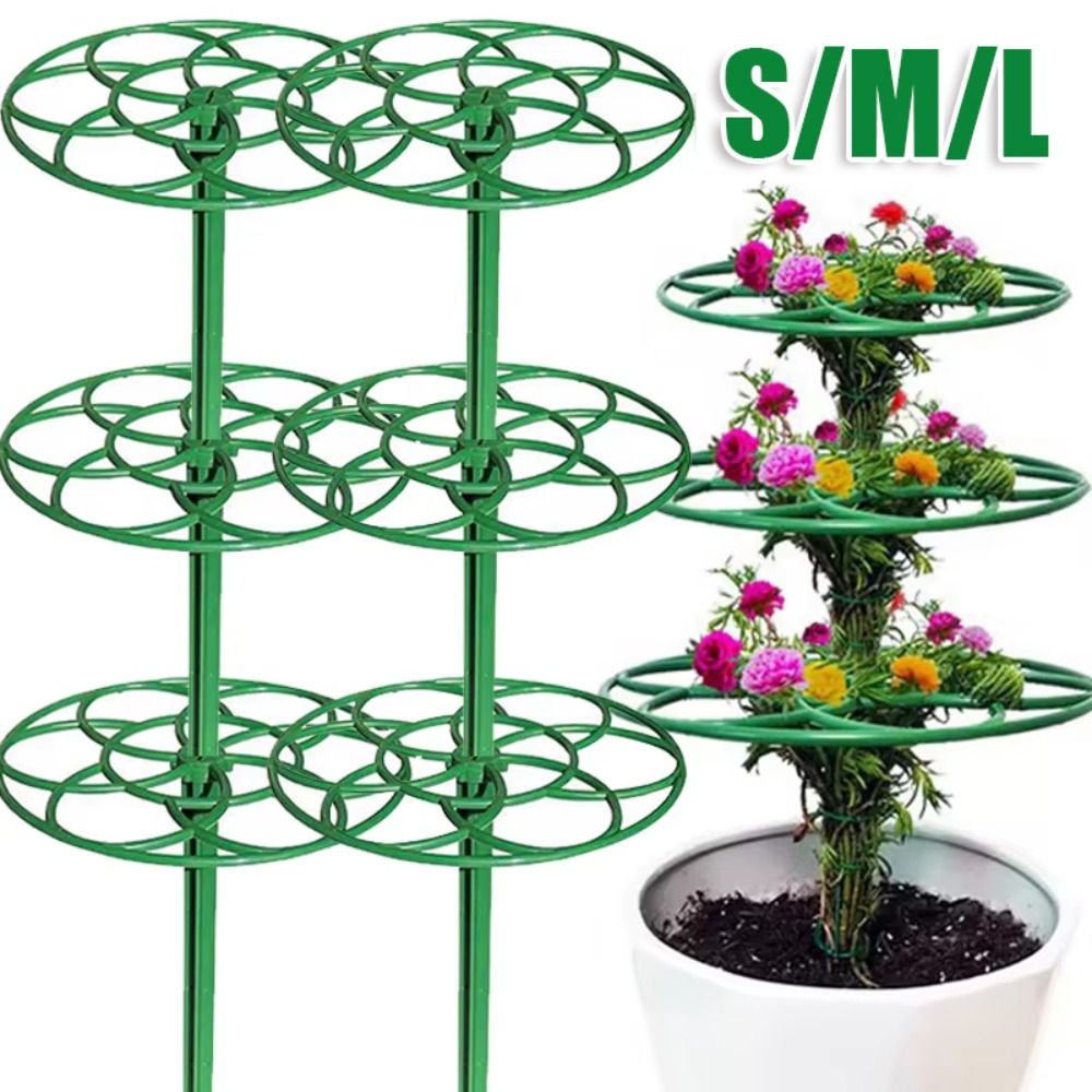 โครงปีนป่ายบอนไซแบบซ้อนได้ ขนา - Vine Climbing Plastic บทวิจารณ์และราคา