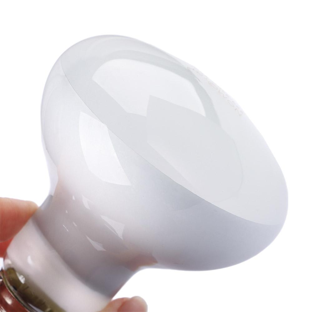 หลอดไฟให้ความร้อนสำหรับเต่า หล - Basking Bulb Halogen บทวิจารณ์และราคา