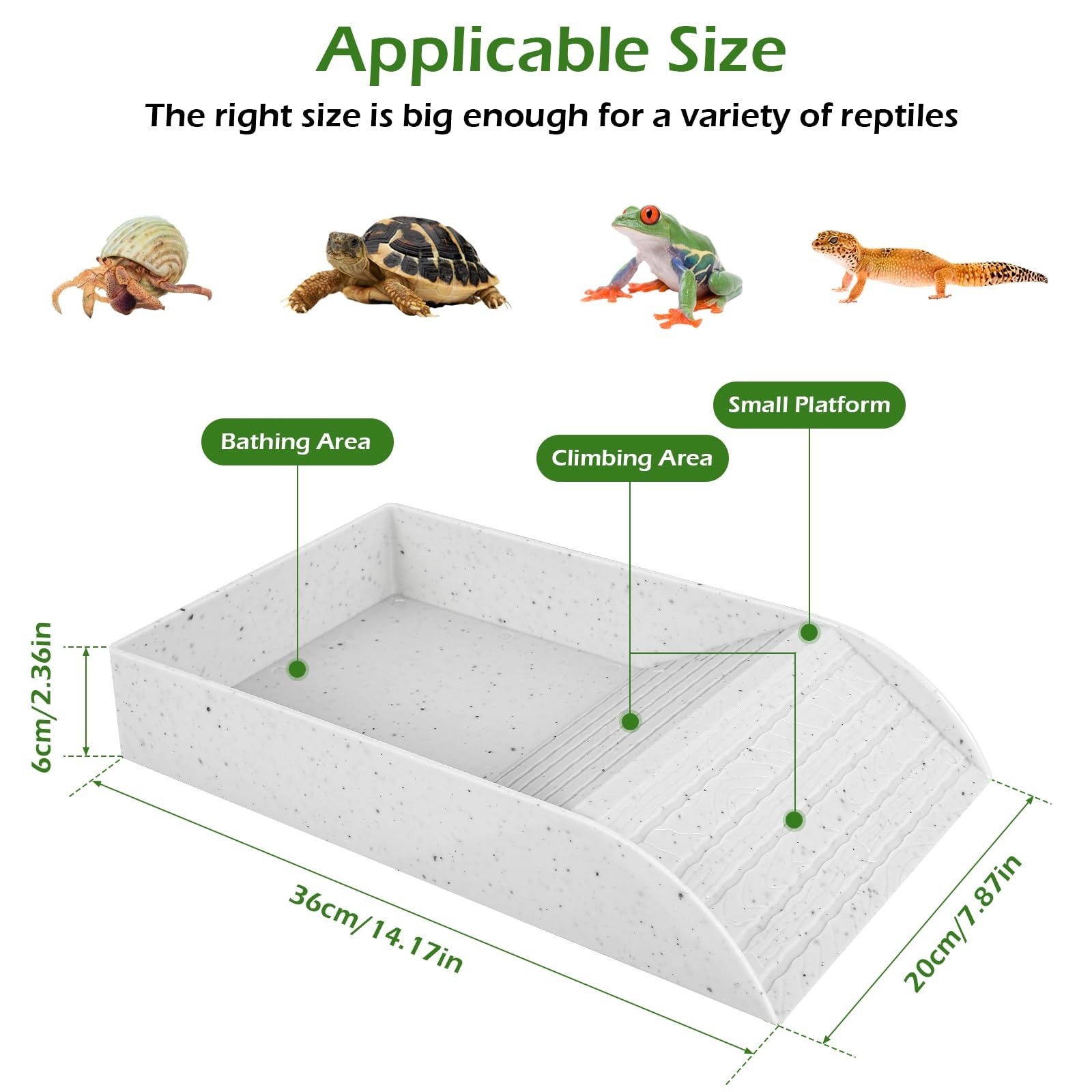 Anti SLIP เต่าจานเต่าอาหารและช - Water Dish Reptile บทวิจารณ์และราคา