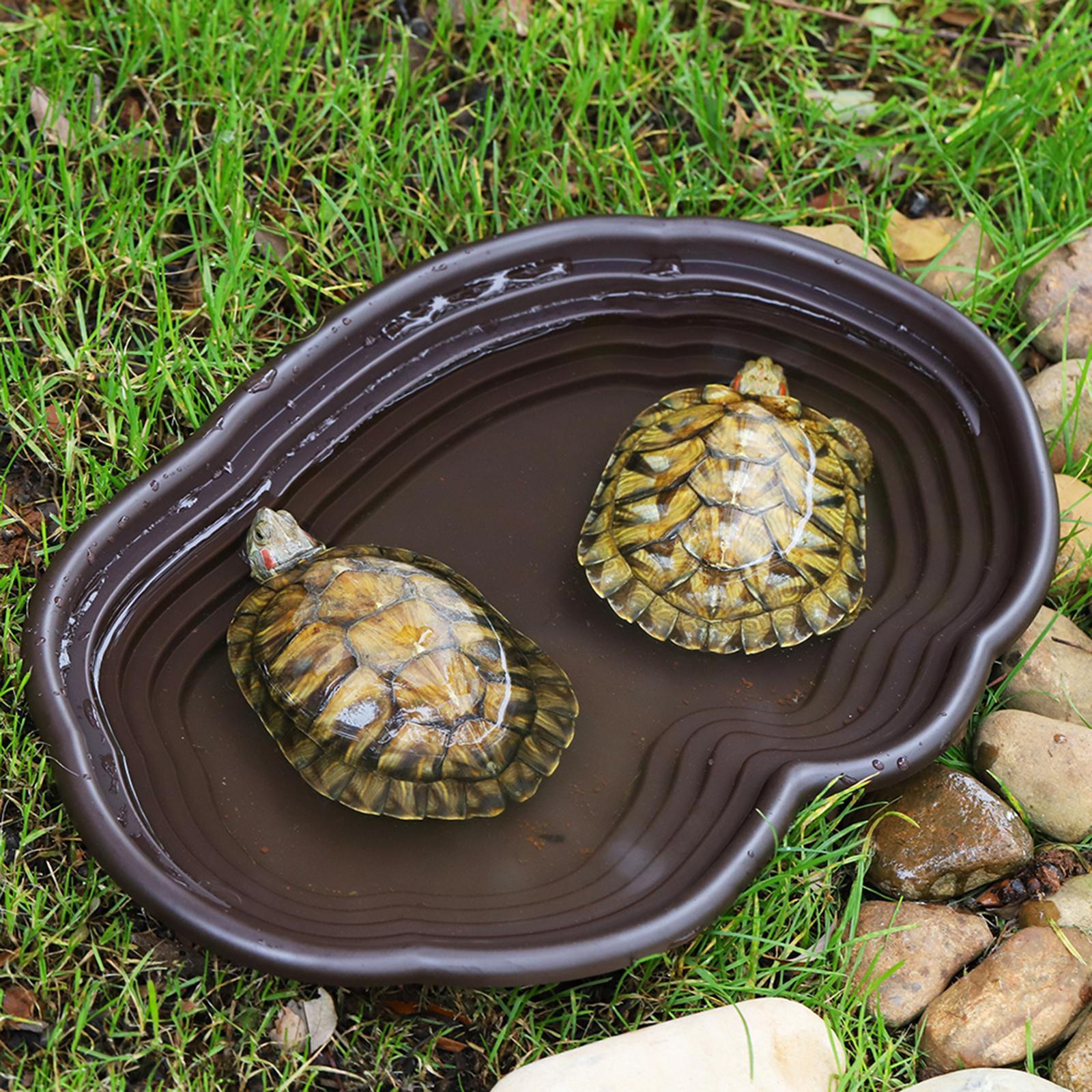 จานอาบน้ำสัตว์เลื้อยคลาน, ที่ป - Water Dish Reptile บทวิจารณ์และราคา