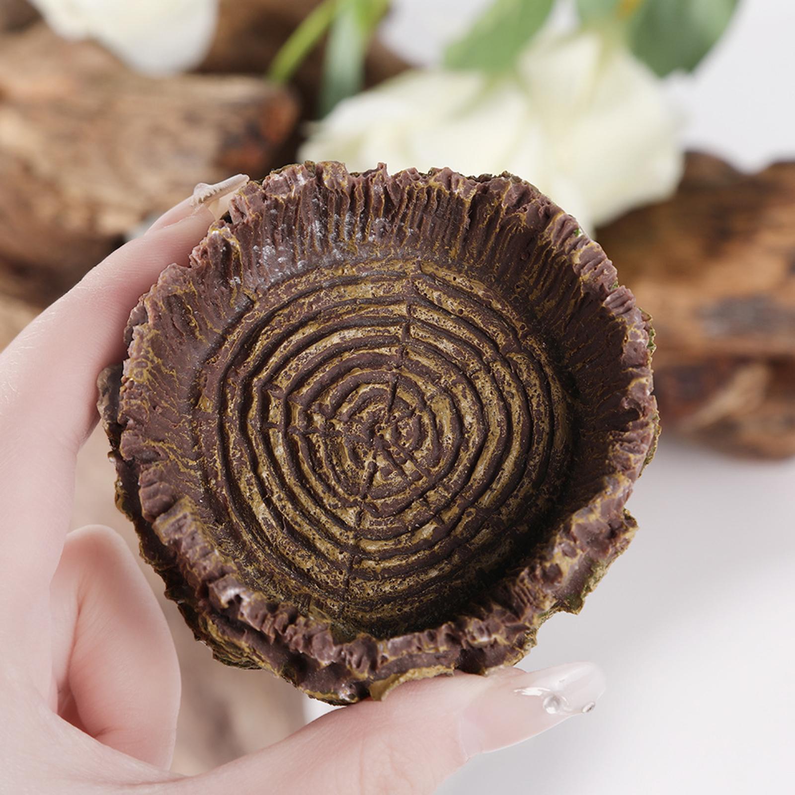 จานอาบน้ำสัตว์เลื้อยคลาน, ที่ป - Water Dish Reptile บทวิจารณ์และราคา