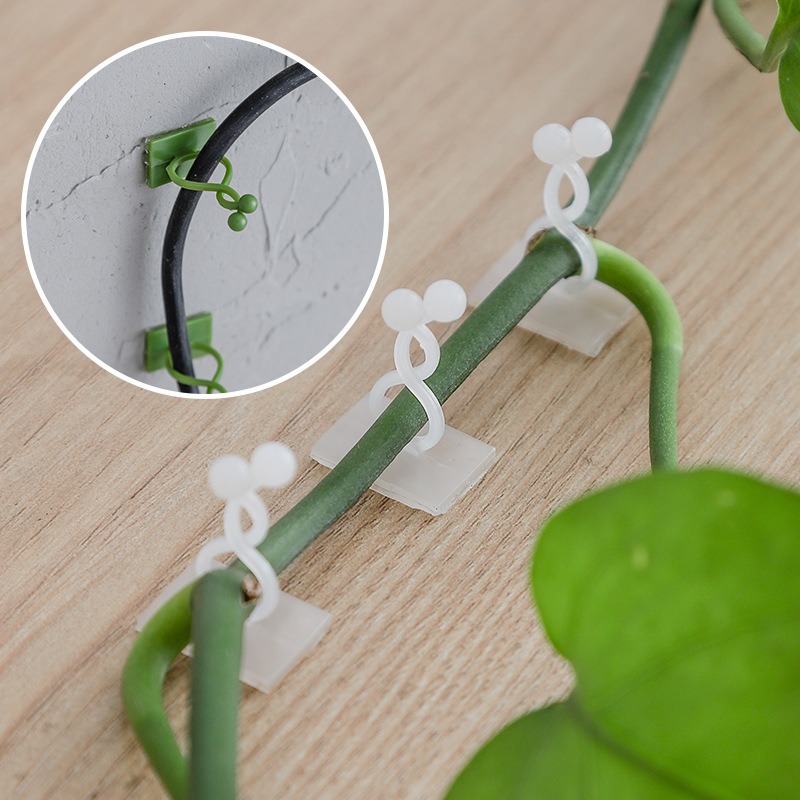 ตะขอแขวนต้นไม้ติดผนัง 10 ชิ้น  - Vine Climbing Plastic บทวิจารณ์และราคา
