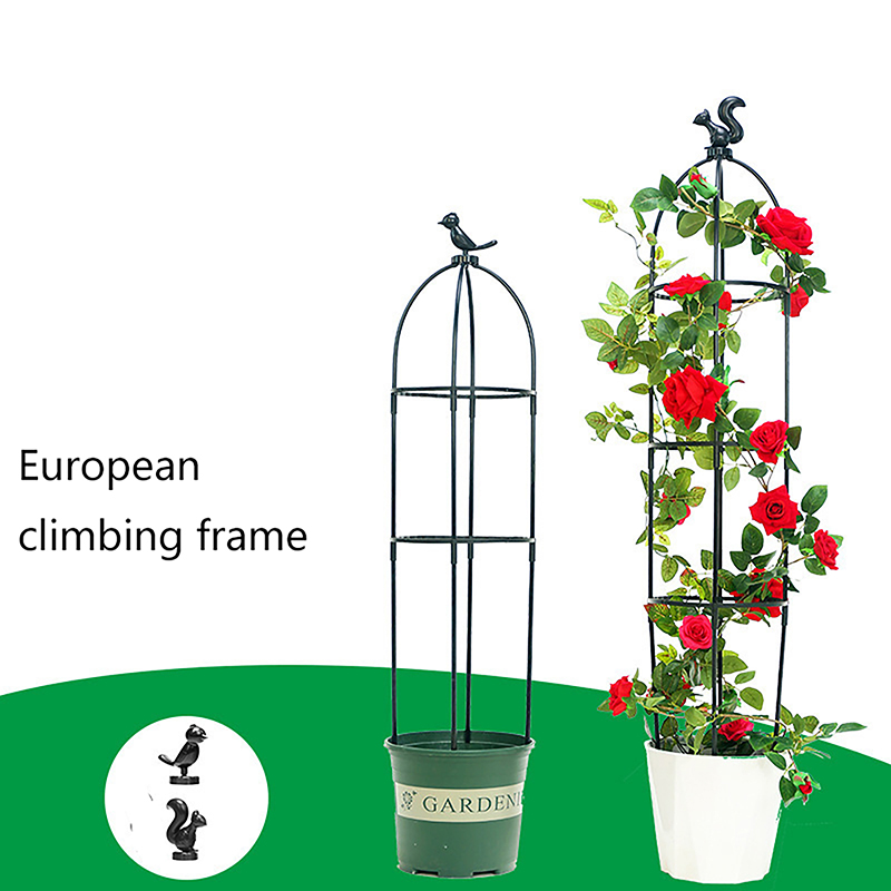 โครงตาข่ายสำหรับพืชเลื้อย 1 ชุ - Vine Climbing Plastic บทวิจารณ์และราคา