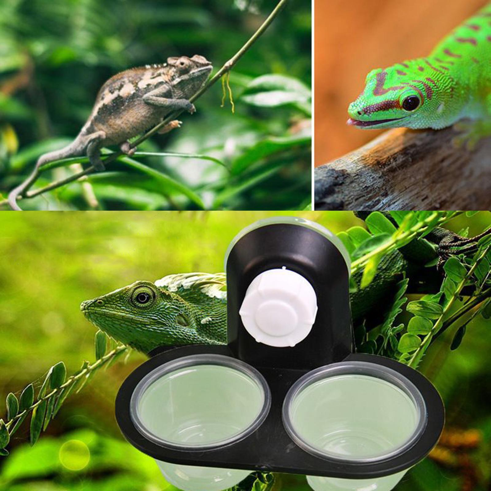 ถาดใส่อาหารและน้ำสำหรับตุ๊กแก  - Water Dish Reptile บทวิจารณ์และราคา