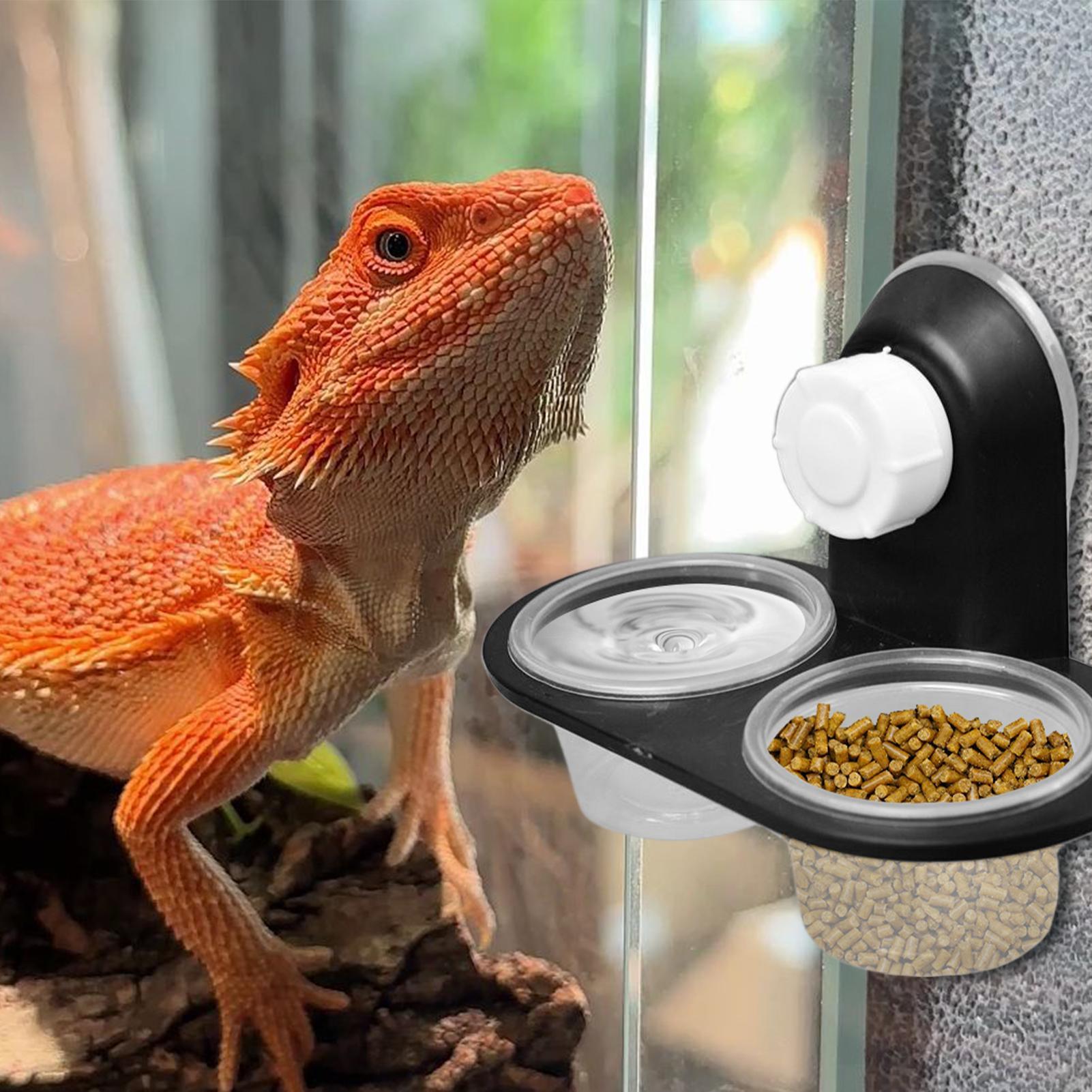 ถาดอาหารตุ๊กแก ถ้วยให้อาหารตุ๊ - Water Dish Reptile บทวิจารณ์และราคา
