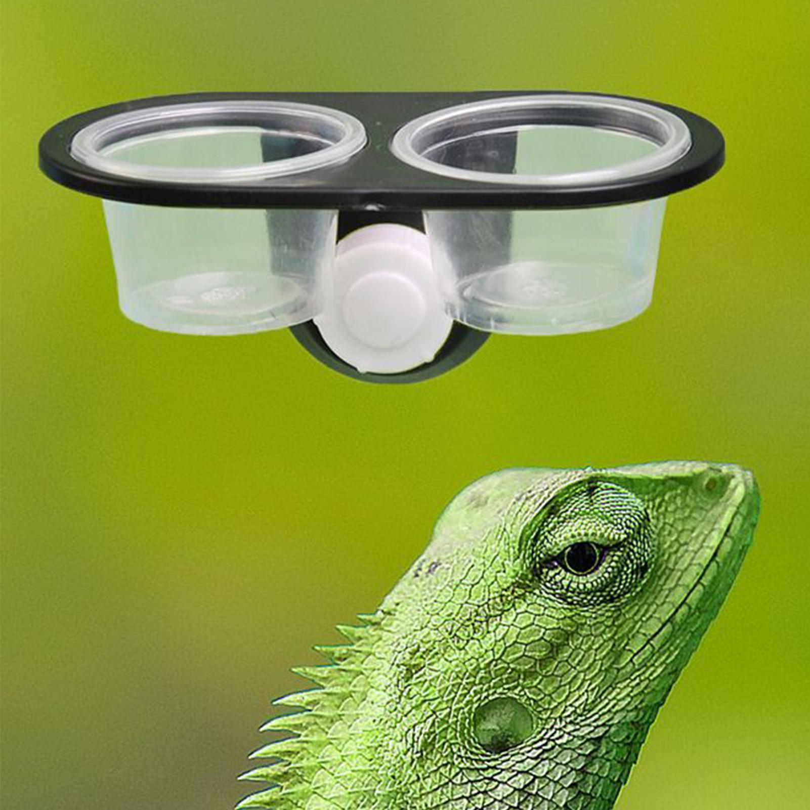 ถาดอาหารตุ๊กแก ถ้วยให้อาหารตุ๊ - Water Dish Reptile บทวิจารณ์และราคา