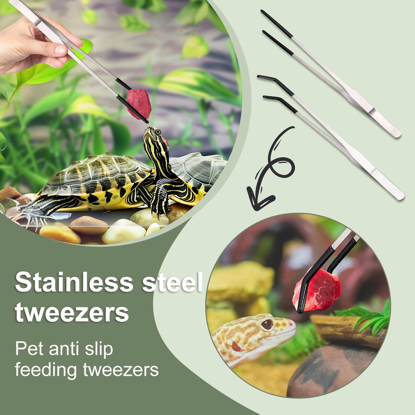 สแตนเลสสัตว์เลื้อยคลานให้อาหาร - Feeding Tong Stainless บทวิจารณ์และราคา