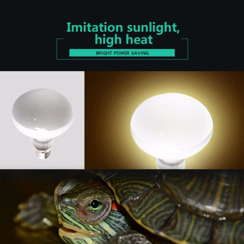เครื่องควบคุมอุณหภูมิเต่า หลอด - Basking Bulb Halogen บทวิจารณ์และราคา