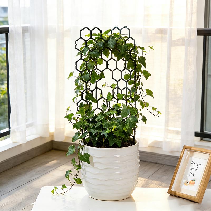 โครงตาข่ายปลูกต้นไม้แบบรังผึ้ง - Vine Climbing Plastic บทวิจารณ์และราคา
