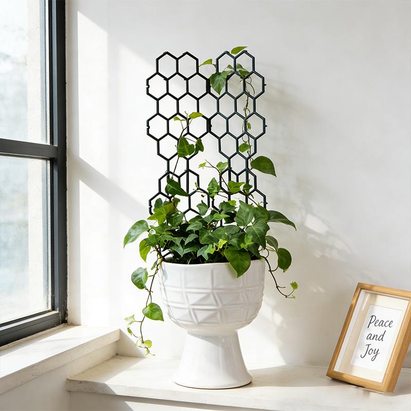โครงตาข่ายปลูกต้นไม้แบบรังผึ้ง - Vine Climbing Plastic บทวิจารณ์และราคา