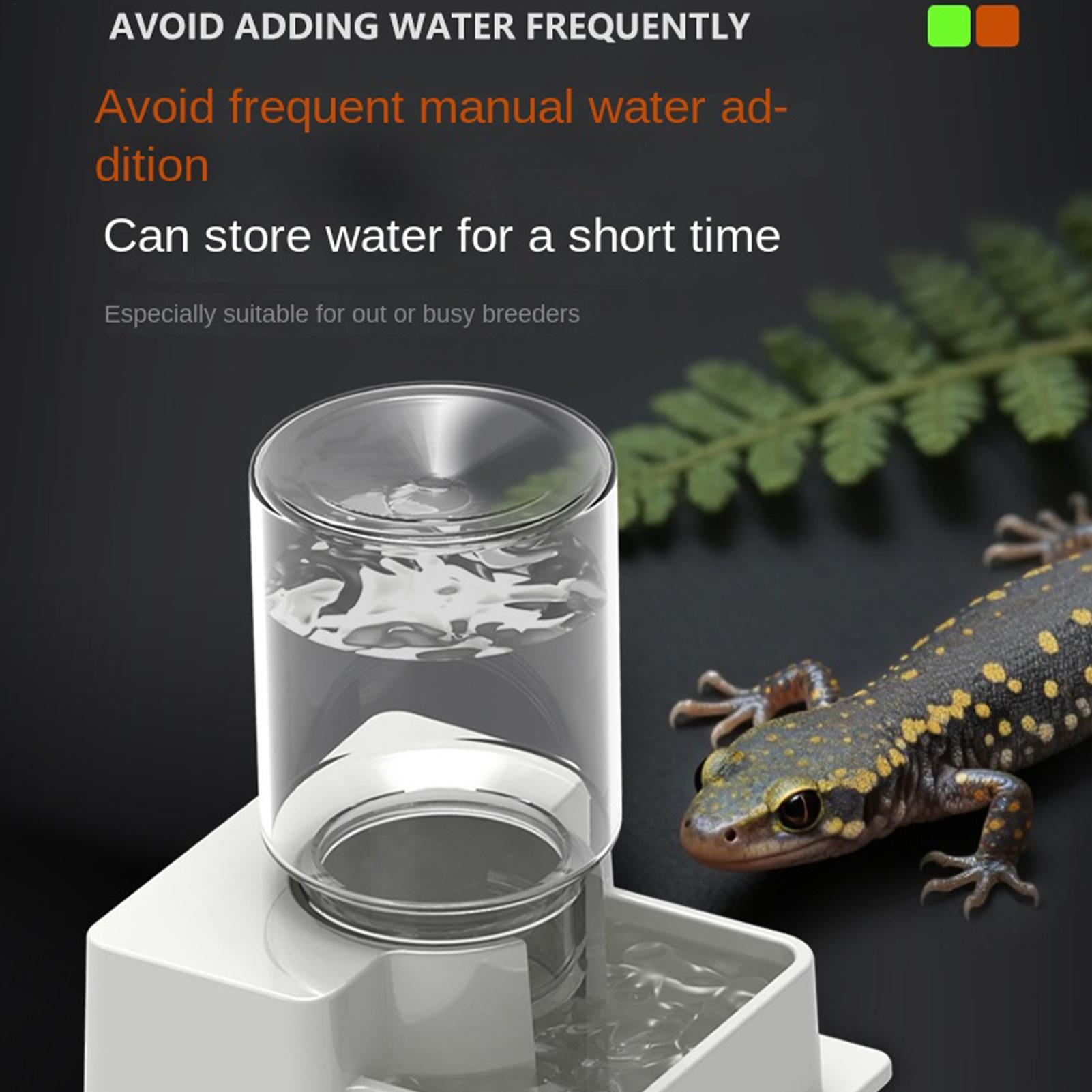 เครื่องให้น้ำอัตโนมัติสำหรับสั - Water Dish Reptile บทวิจารณ์และราคา