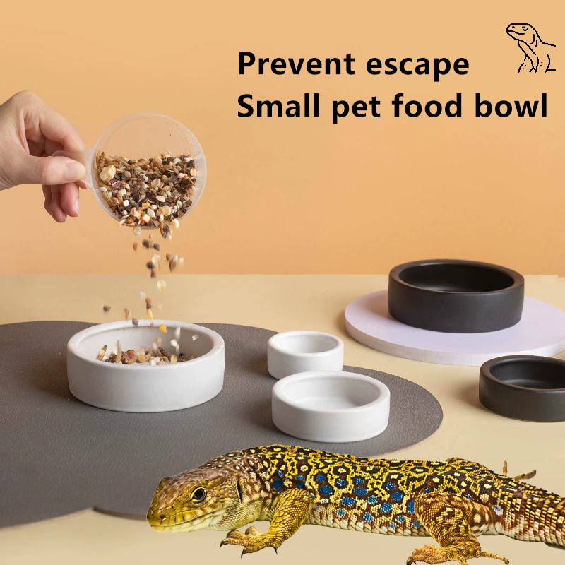 ร้อนแรง! ชามอาหารสัตว์เลื้อยคล - Water Dish Reptile บทวิจารณ์และราคา