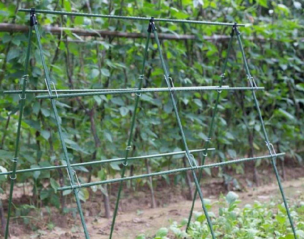 เส้นผ่าศูนย์กลาง8/11/16มิลลิเม - Vine Climbing Plastic บทวิจารณ์และราคา