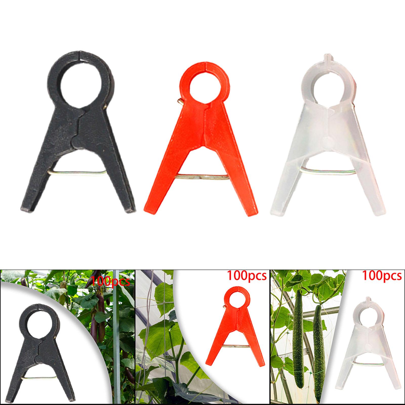 ที่หนีบต้นไม้ในสวน100ชิ้นเครื่ - Vine Climbing Plastic บทวิจารณ์และราคา