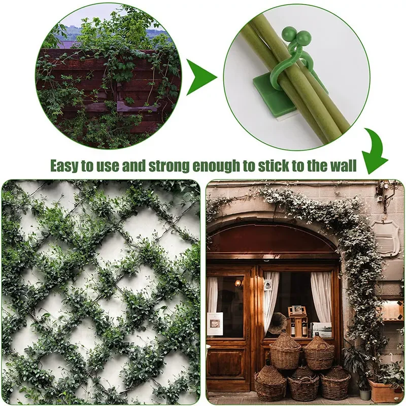 1/30/50 ชิ้นสําหรับอุปกรณ์สวนพ - Vine Climbing Plastic บทวิจารณ์และราคา