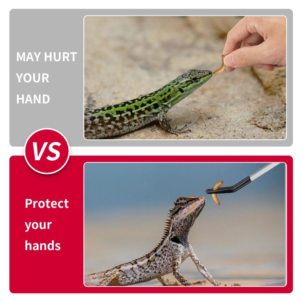สแตนเลส Aquarium Feeding แหนบห - Feeding Tong Stainless บทวิจารณ์และราคา
