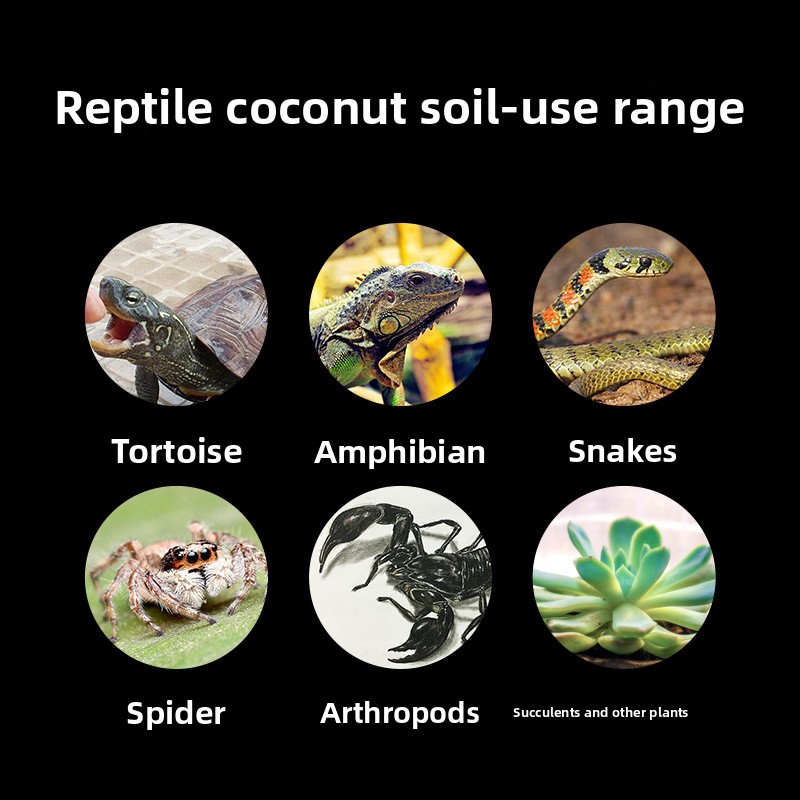 วัสดุรองพื้นสำหรับสัตว์เลื้อยค - Substrate Coconut Fiber บทวิจารณ์และราคา