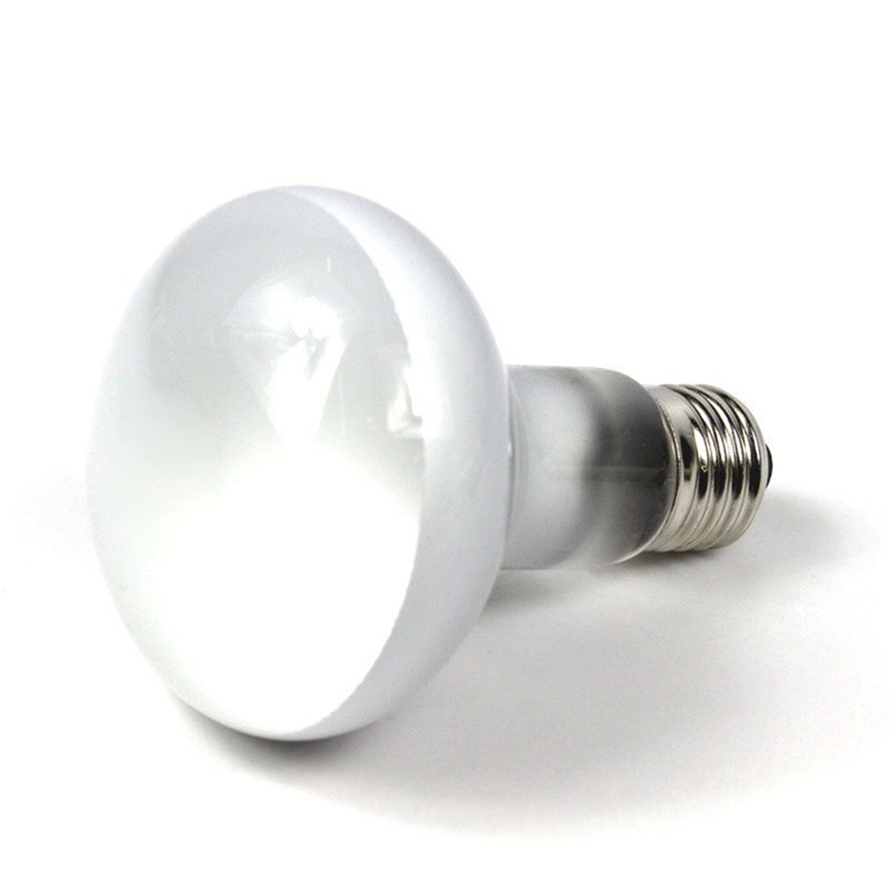 เครื่องควบคุมอุณหภูมิสำหรับสัต - Basking Bulb Halogen บทวิจารณ์และราคา
