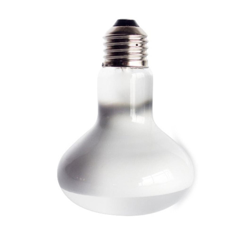 เครื่องควบคุมอุณหภูมิสำหรับสัต - Basking Bulb Halogen บทวิจารณ์และราคา
