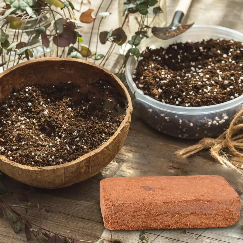 สัตว์เลื้อยคลานดินมะพร้าวธรรมช - Substrate Coconut Fiber บทวิจารณ์และราคา