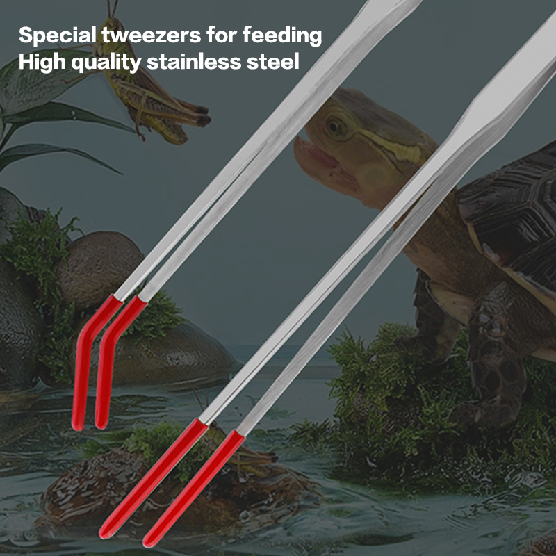 ที่คีบให้อาหารสัตว์เลื้อยคลานพ - Feeding Tong Stainless บทวิจารณ์และราคา